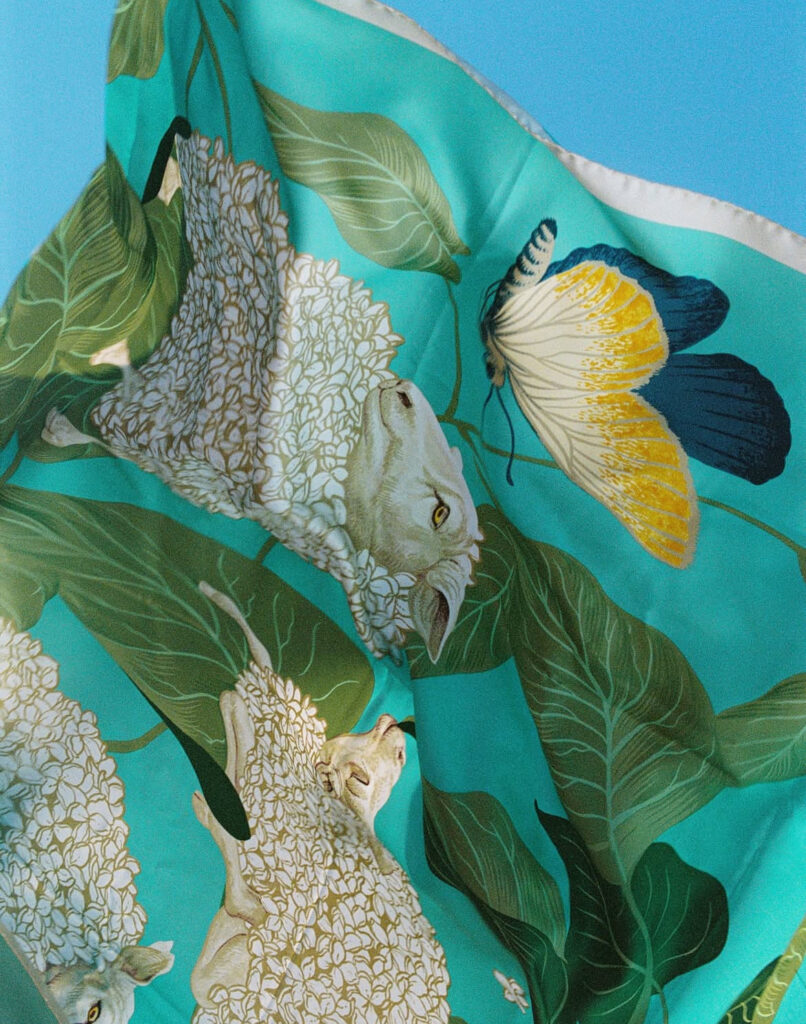 sds-moutoniere-portfolio 6